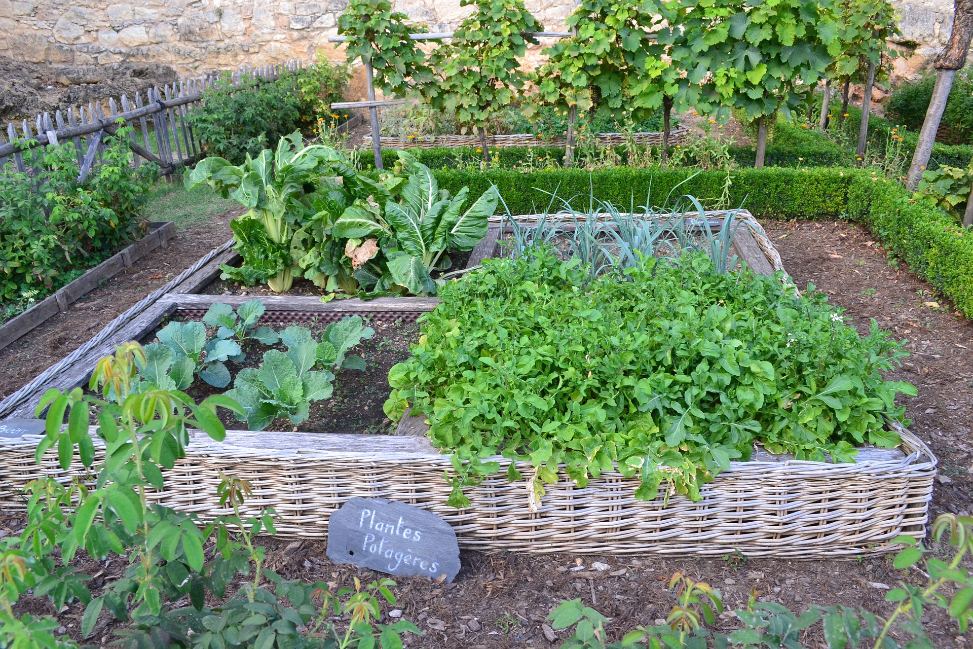 Vegetable Garden Jardiner Autrement