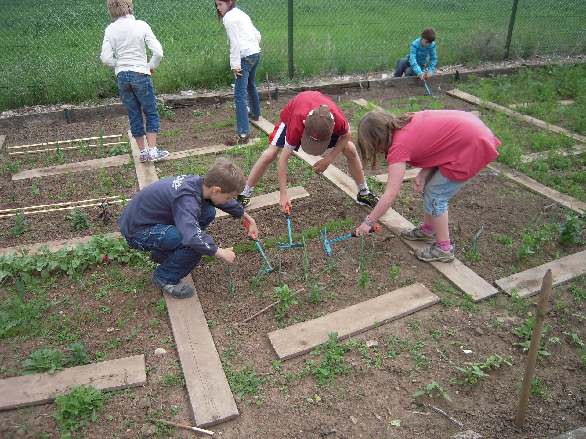 Alençon favorise le jardinage à l'école - Jardiner Autrement