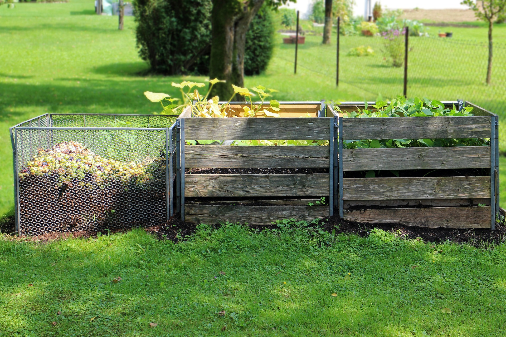 6 choses à savoir avant d'installer un bac à compost dans votre jardin