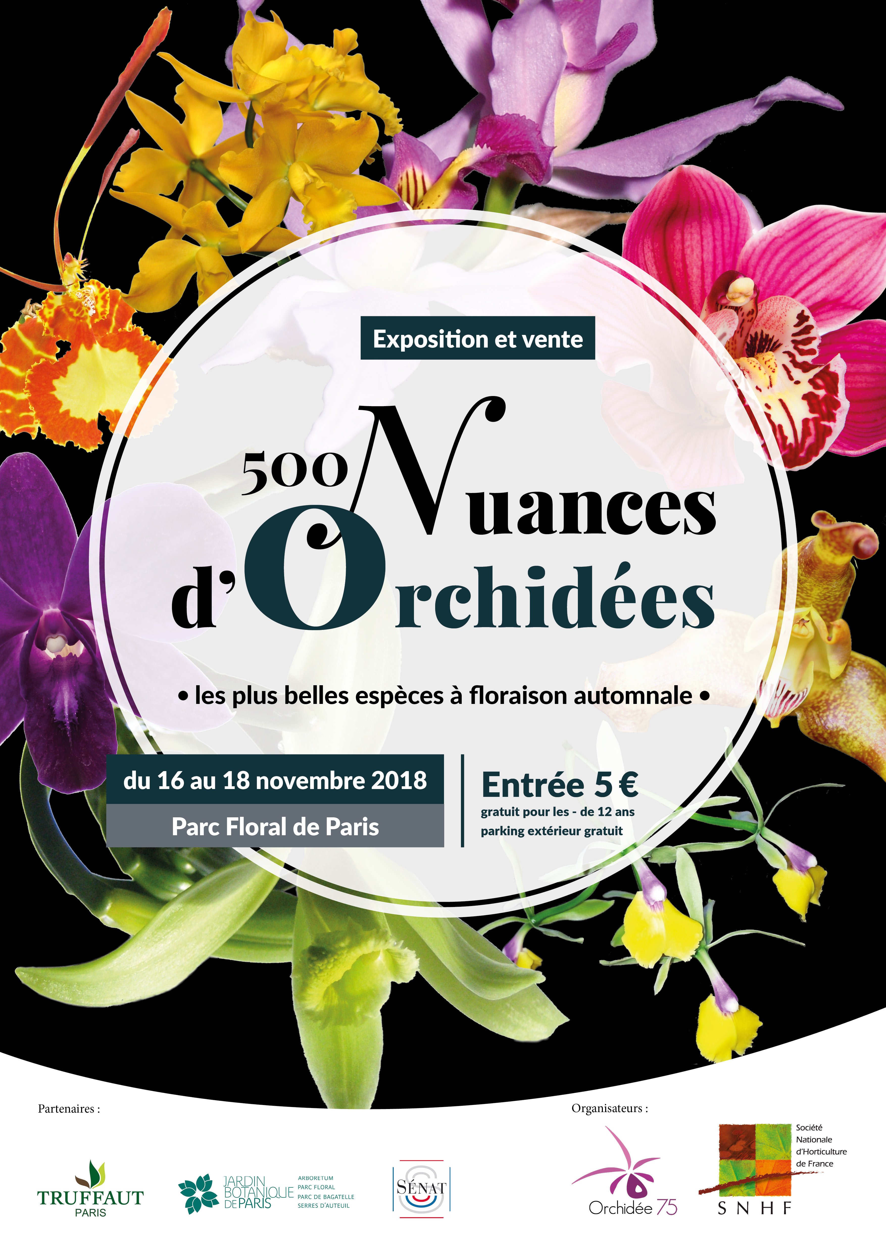 AFFICHE_500_nuances_dif