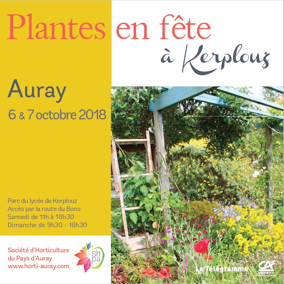 Auray 2018